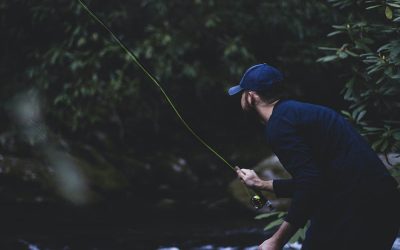 Report of the survey undertaken by the ATF to investigate the state of the Victorian wild trout fishery by anglers