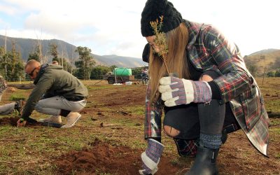 New date for Kevington Tree Planting: 20th May 2023