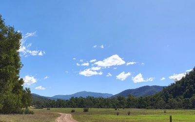 Trees for Trout planting on the Upper Wonnangatta River April 27-29