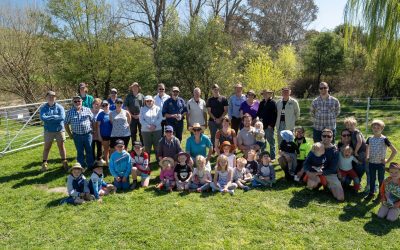 Nariel Creek & Thowgla River “Trees for Trout” Tree Planting